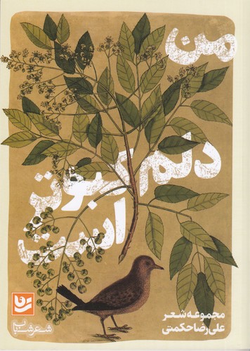 کتاب من دلم کبوتر است نشر گویا