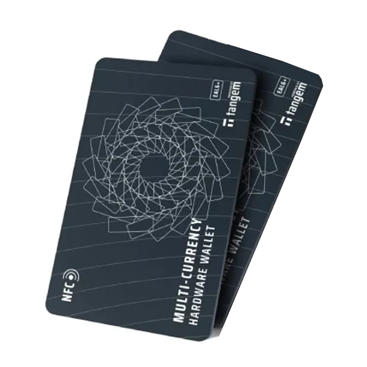 کیف پول سخت افزاری تنجم مدل دو کارته-مشکی