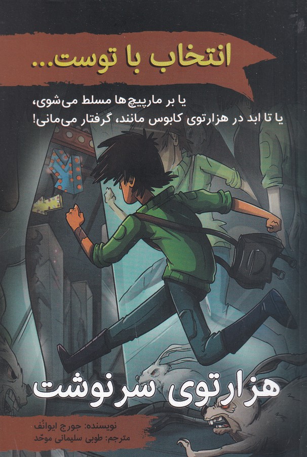 کتاب انتخاب با توست...: هزارتوی سرنوشت نشر دوایر