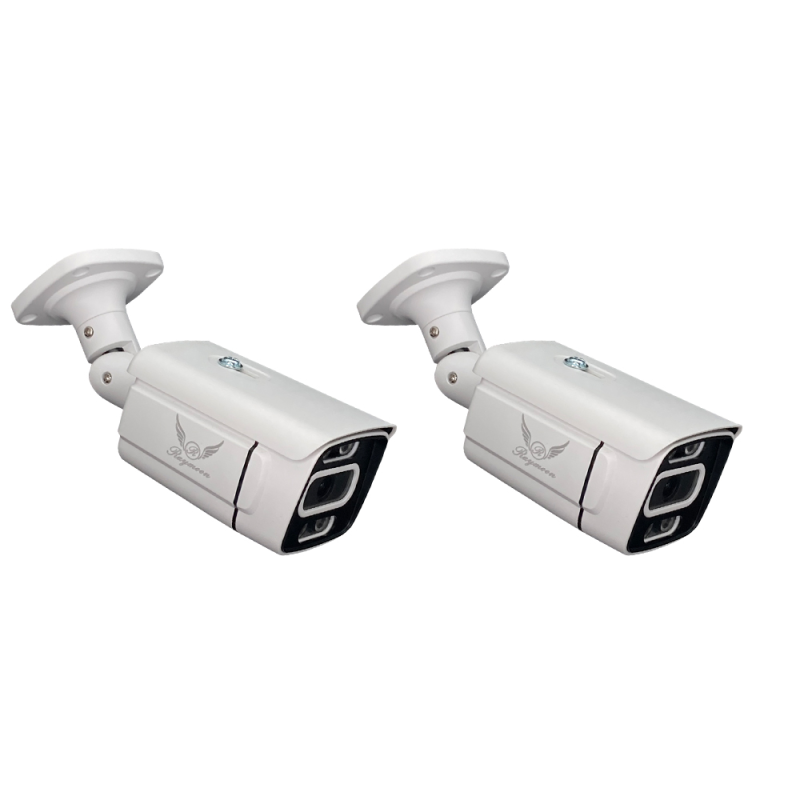 دوربین مداربسته تحت شبکه رایمون مدل 8302 بسته دو عددی دوربین مداربسته تحت شبکه رایمون مدل 8302 بسته دو عددی