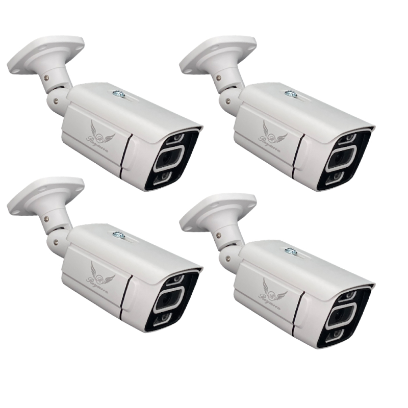 دوربین مداربسته تحت شبکه رایمون مدل 8302 بسته چهار عددی