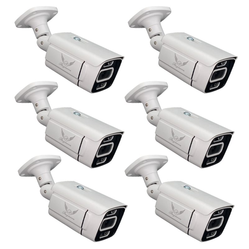 دوربین مداربسته تحت شبکه رایمون مدل 8302 بسته شش عددی