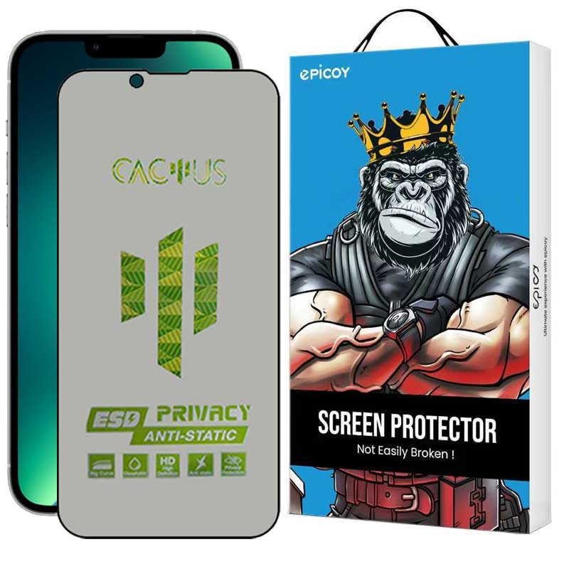 محافظ صفحه نمایش حریم شخصی اپیکوی مدل Cactus-ESD-Privacy مناسب برای گوشی موبایل اپل iPhone 16e/14/13 Pro/ 13