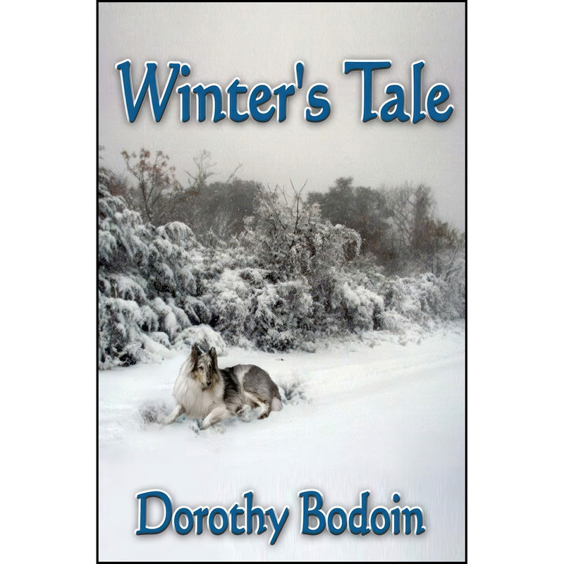 کتاب Winters Tale اثر Dorothy Bodoin انتشارات تازه ها