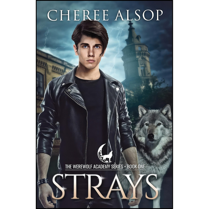 کتاب Werewolf Academy Book 1 اثر Cheree Alsop and Cheree Lynn Alsop انتشارات تازه ها