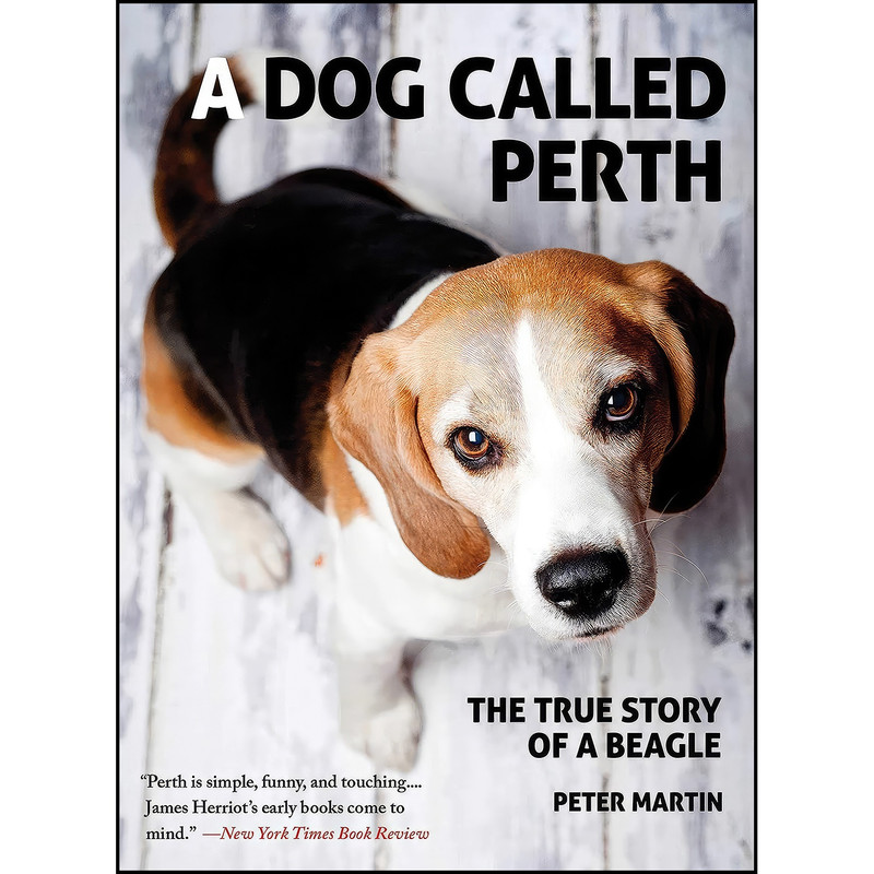 کتاب A Dog Called Perth اثر Peter Martin انتشارات Arcade