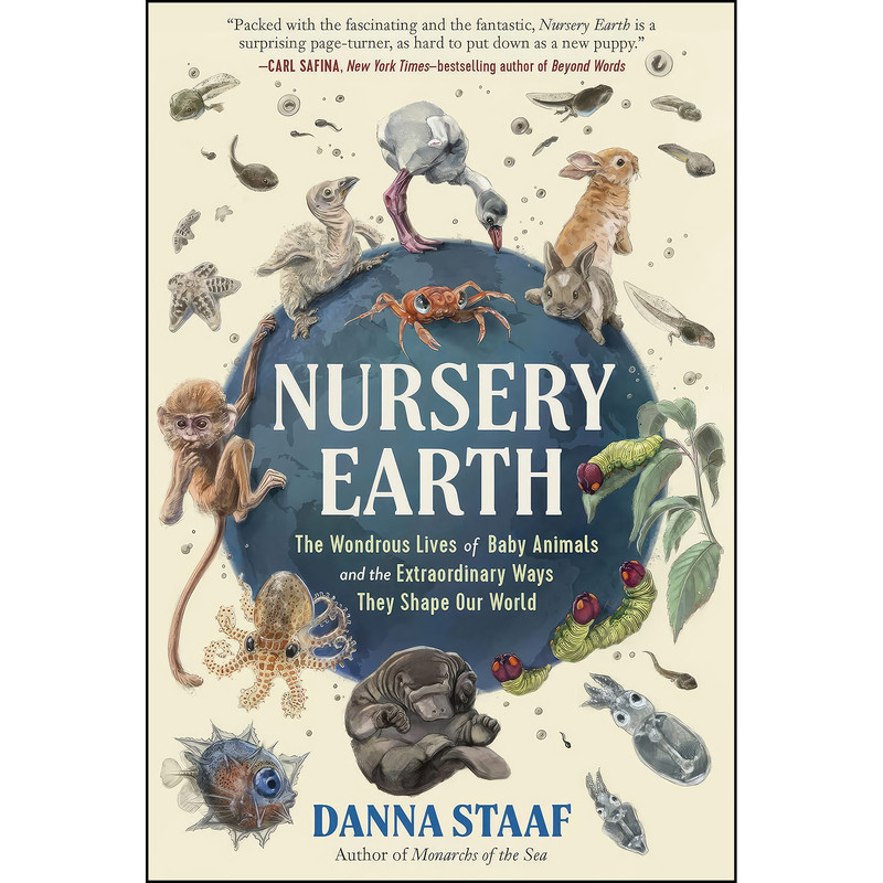 کتاب Nursery Earth اثر جمعي از نويسندگان انتشارات The Experiment