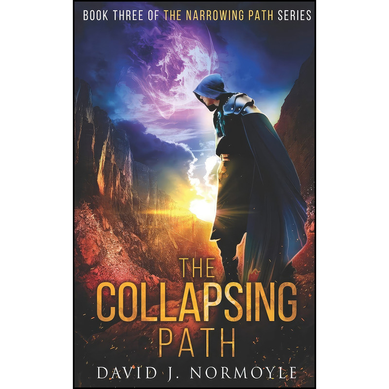کتاب The Collapsing Path اثر David J. Normoyle انتشارات تازه ها