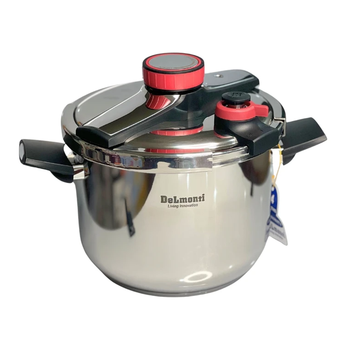 زودپز دلمونتی مدل DL1020 گنجایش 9 لیتر