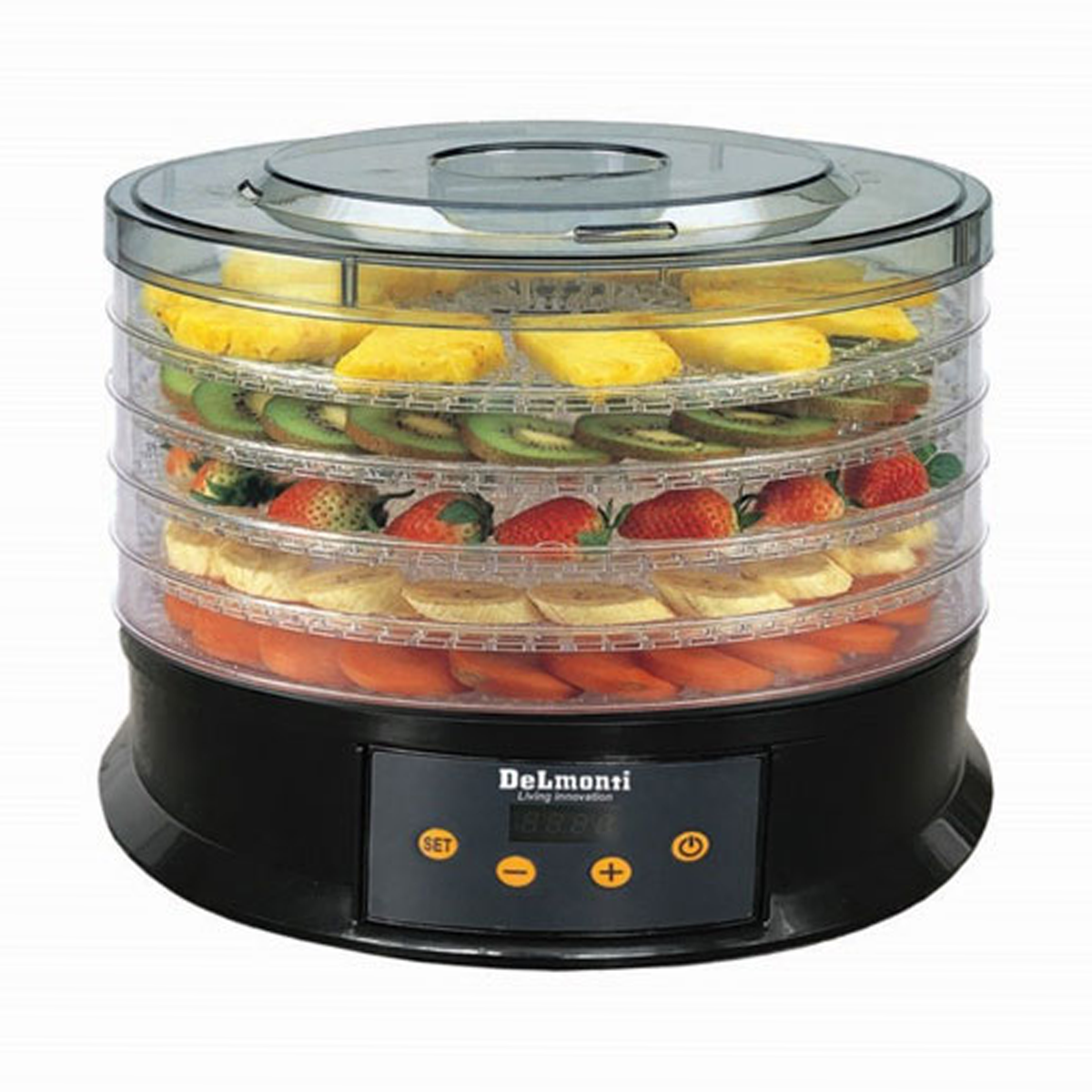میوه و سبزی خشک کن دلمونتی مدل DL 220