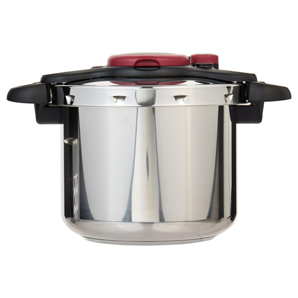 زودپز تفال مدل P4624966