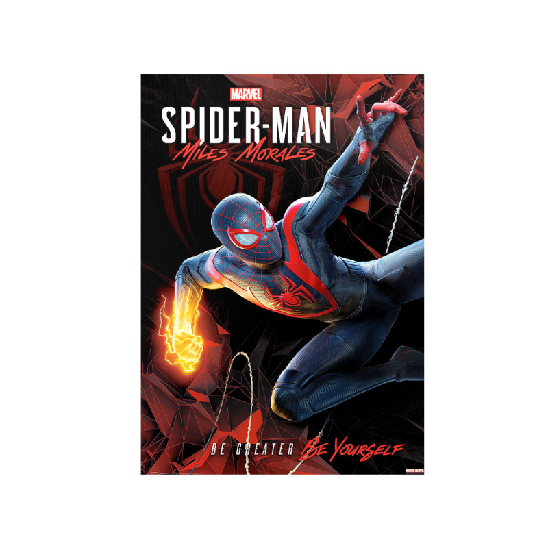 متال پوستر مستر پیکد طرح اسپایدرمن Sipder-Man کد PCD-MB1010 متال پوستر مستر پیکد طرح اسپایدرمن Sipder-Man کد PCD-MB1010