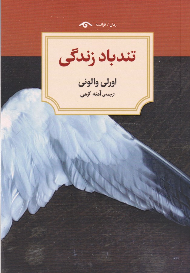 کتاب تندباد زندگی نشر کتاب دیدآور