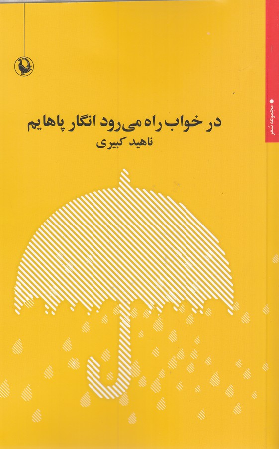 کتاب در خواب راه می‌رود انگار پاهایم نشر مروارید