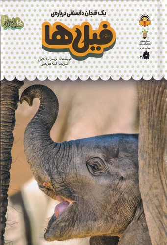 کتاب یک فنجان دانستنی درباره‌ی 6: فیل‌ها نشر نوشته
