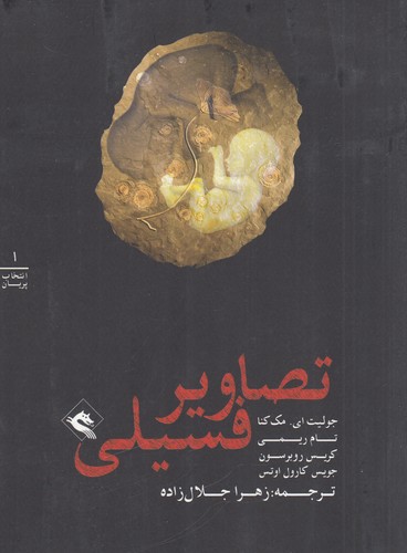 کتاب انتخاب پریان 1: تصاویر فسیلی نشر پریان