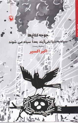 کتاب جوجه کلاغ‌ها سیاه به دنیا نمی‌آیند بعدا سیاه می‌شوند نشر مروارید