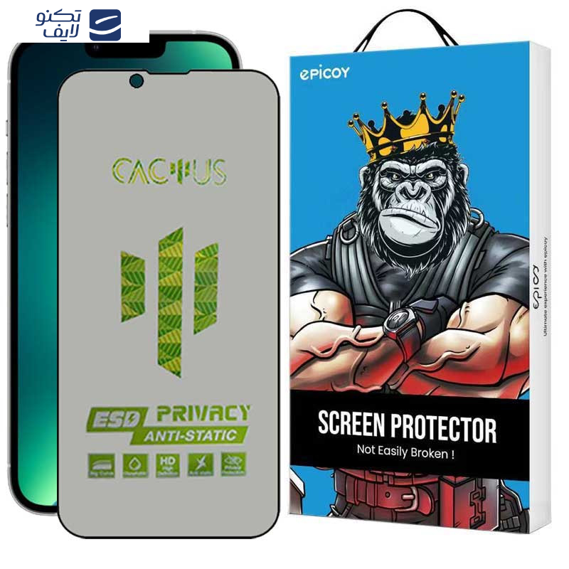 محافظ صفحه نمایش حریم شخصی اپیکوی مدل Cactus-ESD-Privacy مناسب برای گوشی موبایل اپل iPhone 16e/14/13 Pro/ 13