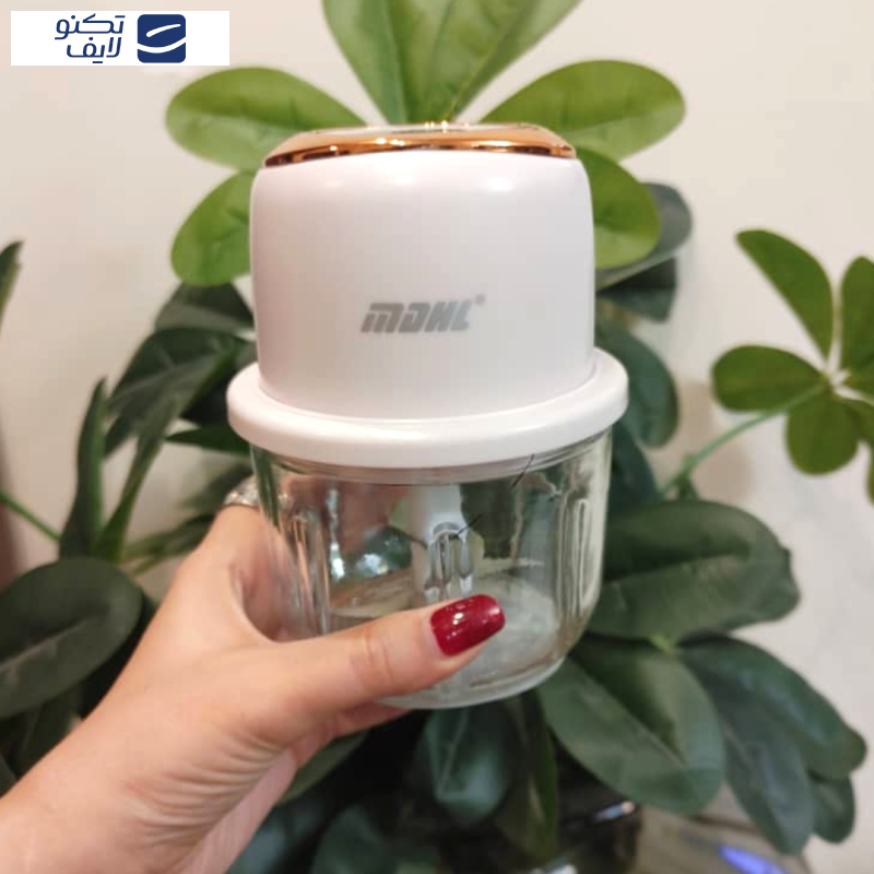 خردکن 0.25 لیتری ام دی اچ ال مدل HP-01