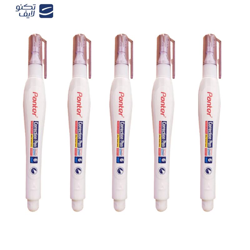 غلط گیر پنتر مدل 6ML کد CP 103-12 بسته 5 عددی 