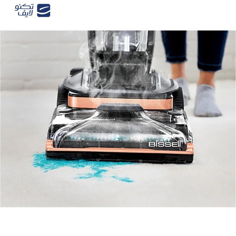 فرش و مبل شوی بیسل مدل 3672E