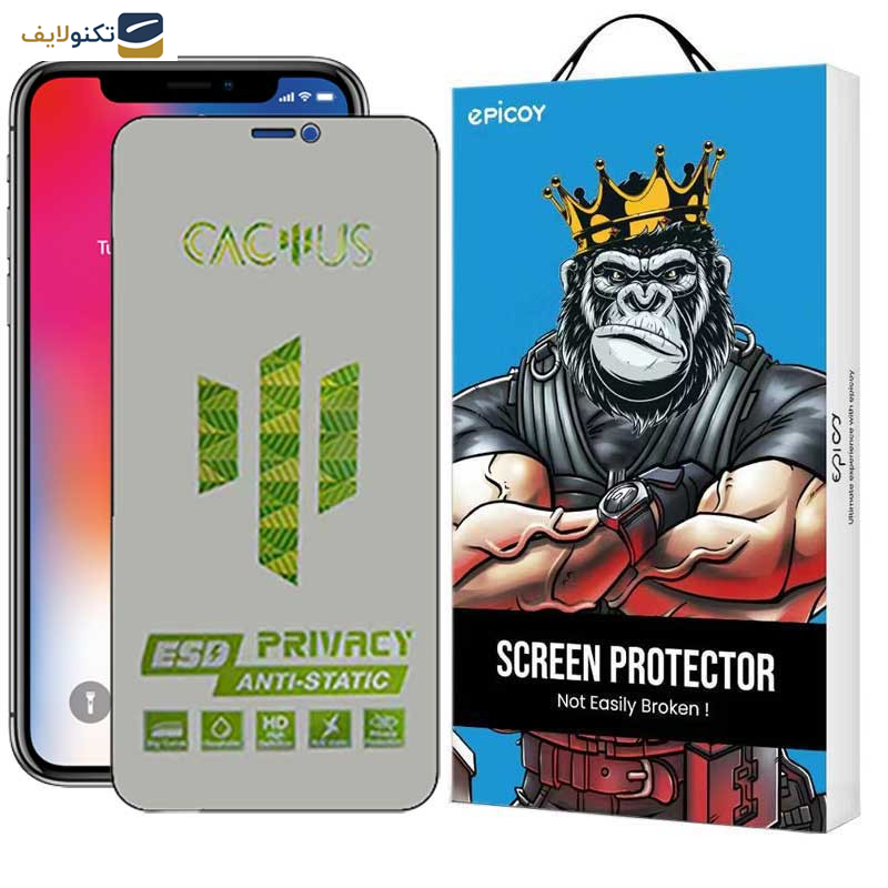  محافظ صفحه نمایش حریم شخصی اپیکوی مدل Cactus-ESD-Privacy مناسب برای گوشی موبایل اپل iPhone 11 / XR