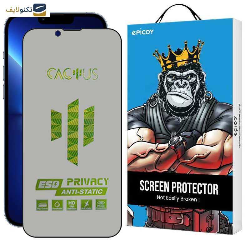 محافظ صفحه نمایش حریم شخصی اپیکوی مدل Cactus-ESD-Privacy مناسب برای گوشی موبایل اپل iPhone 14 Plus / 13 Pro Max