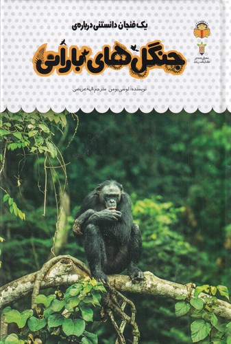 کتاب یک فنجان دانستنی درباره‌ی: جنگل‌های بارانی نشر نوشته