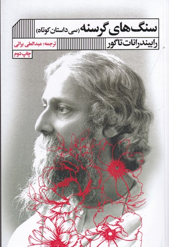 کتاب سنگ‌های گرسنه نشر گویا