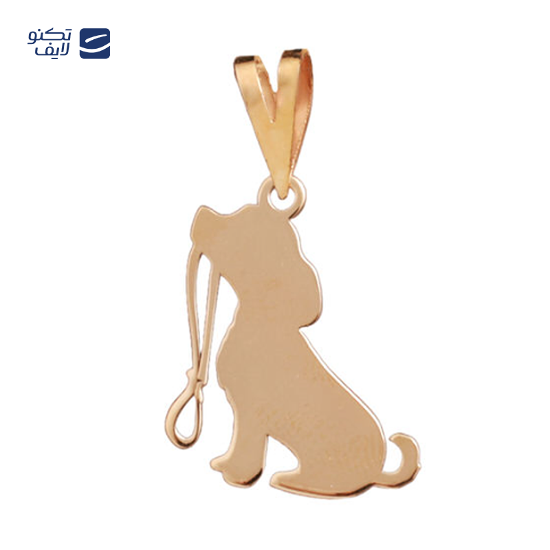 gallery-پلاک طلا زنانه طرح فرشته رویا پرداز قو طلایی کد P033177 copy.png