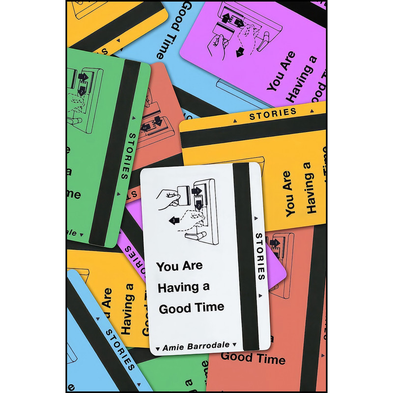 کتاب You Are Having a Good Time اثر Amie Barrodale انتشارات FSG Originals