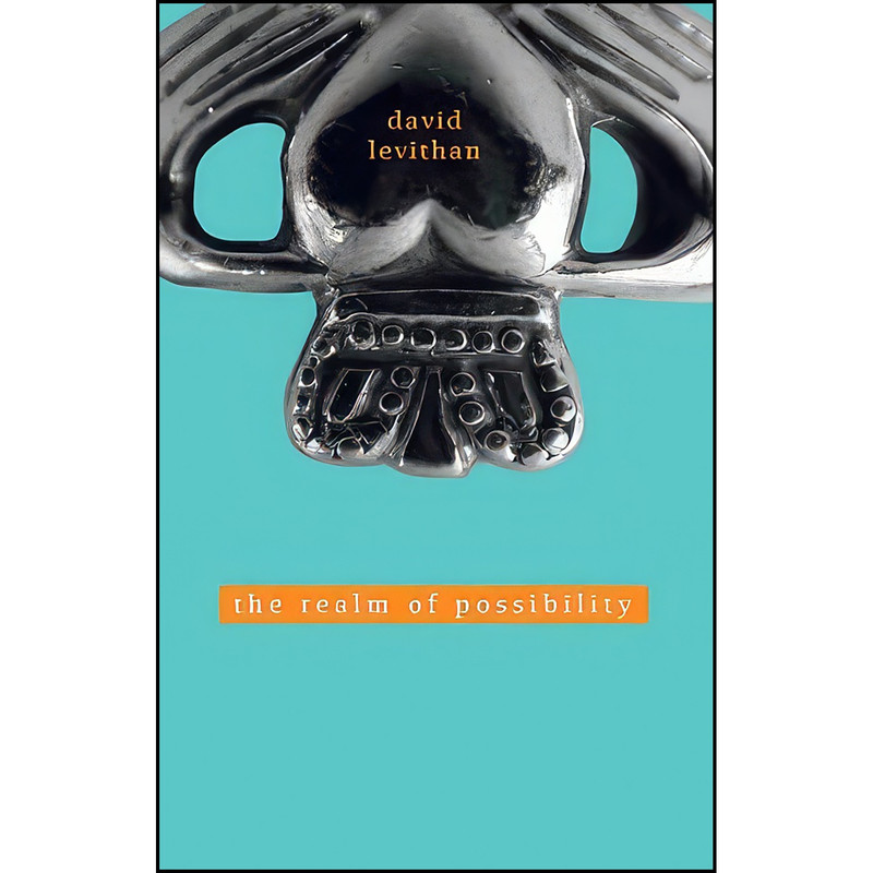 کتاب The Realm of Possibility اثر David Levithan انتشارات Borzoi / Alfred A. Knopf