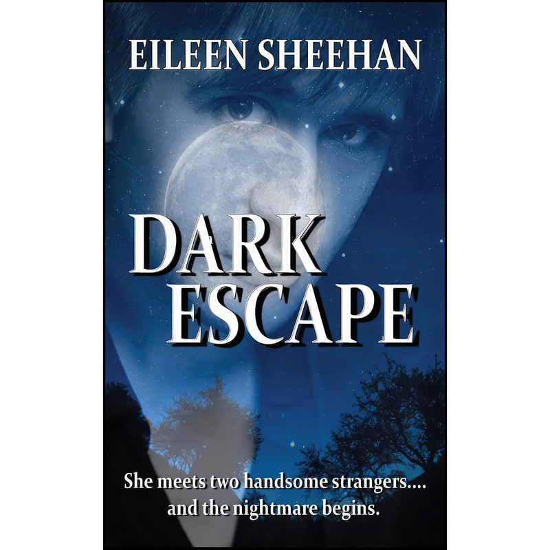 کتاب Dark Escape اثر Eileen Sheehan انتشارات تازه ها