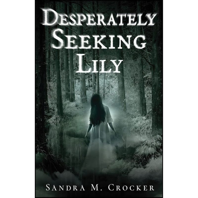 کتاب Desperately Seeking Lily اثر sandra Marchetti Crocker انتشارات Cayelle Publishing/Celest
