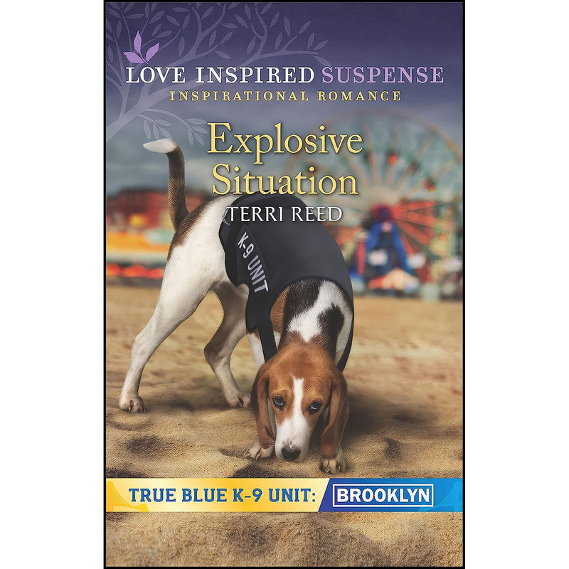 کتاب Explosive Situation اثر Terri Reed انتشارات Love Inspired Suspense