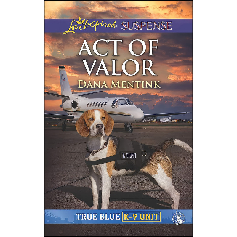 کتاب Act of Valor اثر Dana Mentink انتشارات Love Inspired Suspense