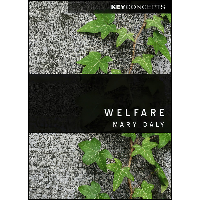 کتاب Welfare اثر Mary Daly انتشارات Polity Press