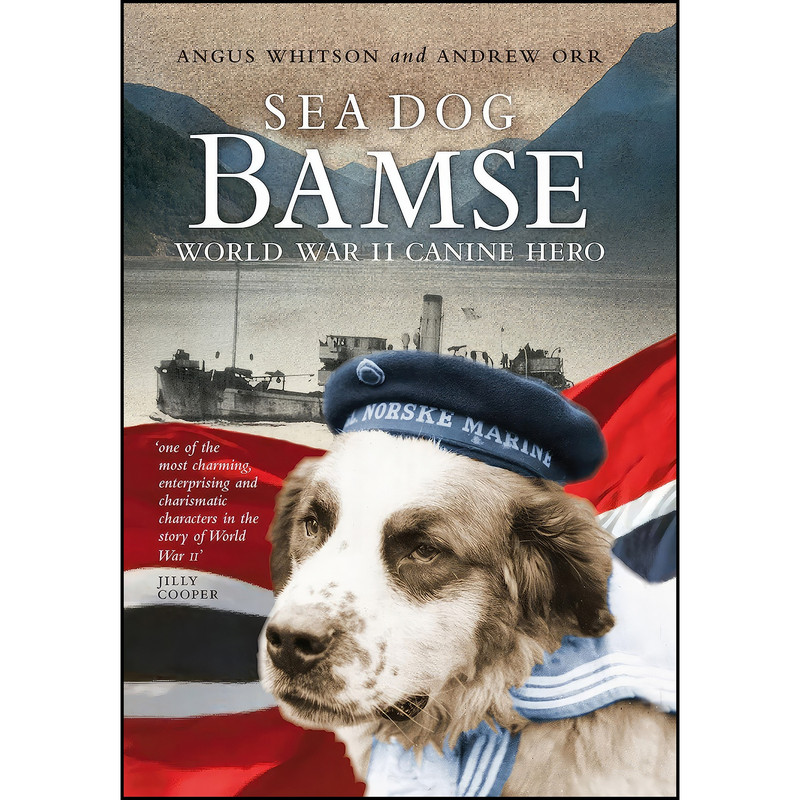 کتاب Sea Dog Bamse اثر جمعي از نويسندگان انتشارات Birlinn