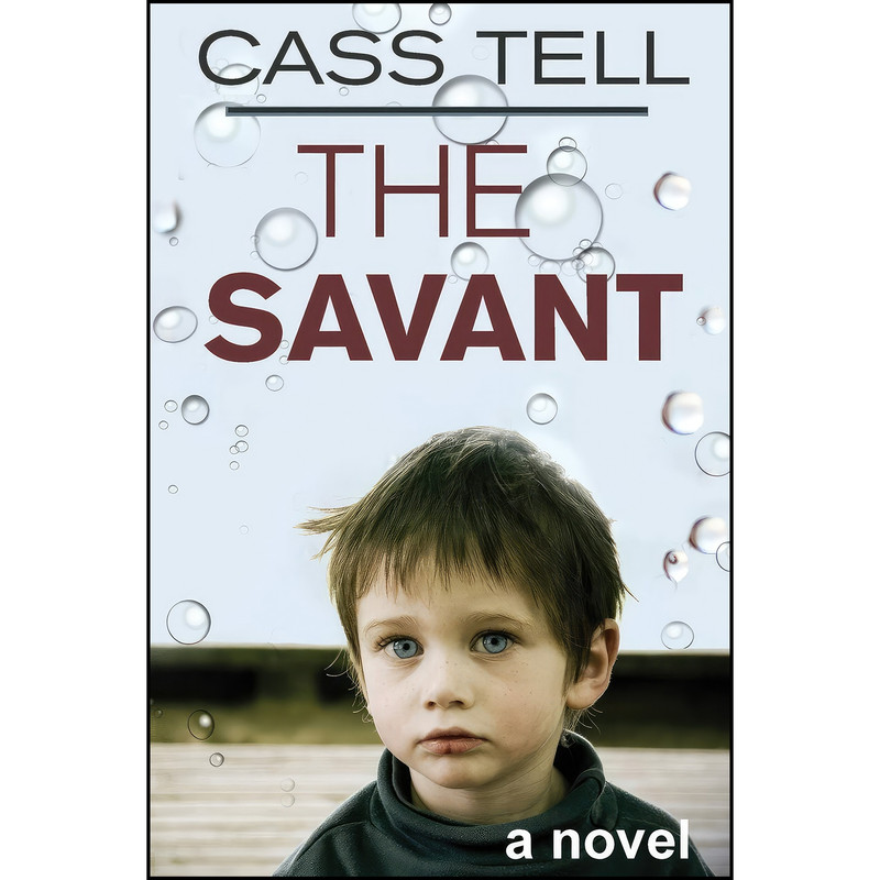 کتاب The Savant - a novel اثر Cass Tell انتشارات Destinee S.A.