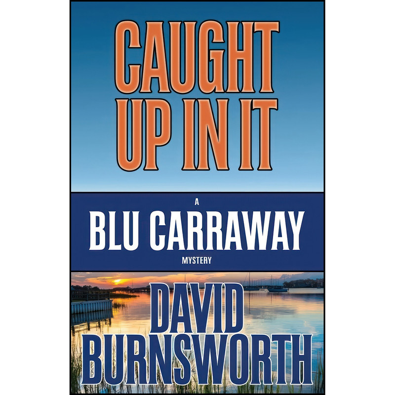 کتاب Caught Up In It اثر David Burnsworth انتشارات تازه ها