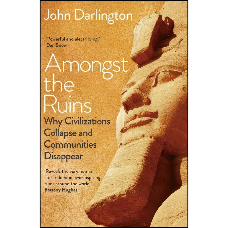 کتاب Amongst the Ruins اثر John Darlington انتشارات Yale University Press