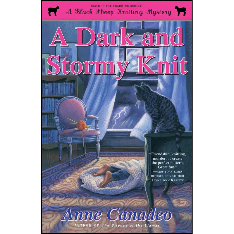 کتاب A Dark and Stormy Knit اثر Anne Canadeo انتشارات Gallery Books