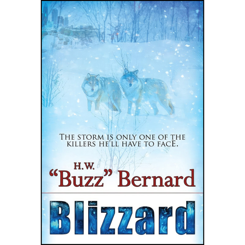 کتاب Blizzard اثر Harold W. Bernard انتشارات Bell Bridge Books