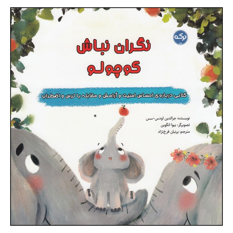 کتاب نگران نباش کوچولو اثر پرنیان فرخ نژاد نشر برکه