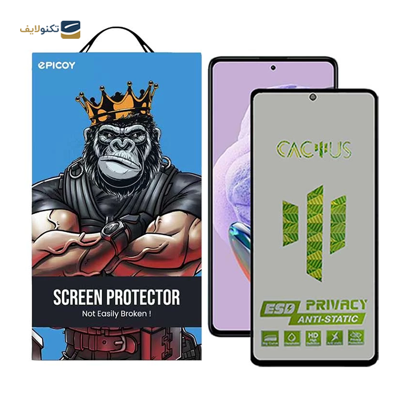 gallery-گلس حریم شخصی گوشی شیائومی Poco X4 Pro 5G اپیکوی مدل Cactus-ESD-Privacy copy.png