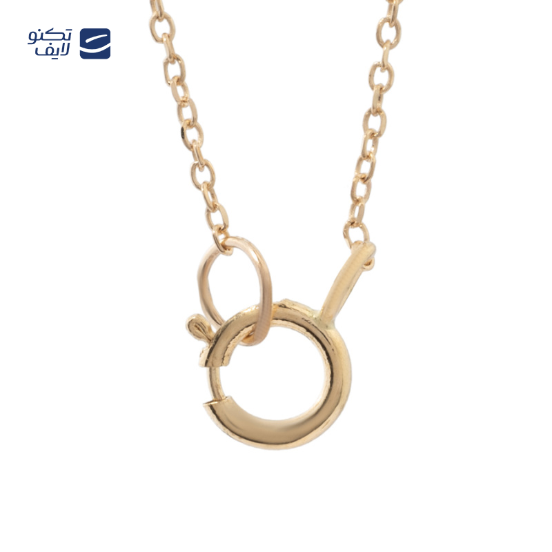 gallery-گردنبند طلا زنانه طرح کالکشن فشن مدل قلب کوچک copy.png