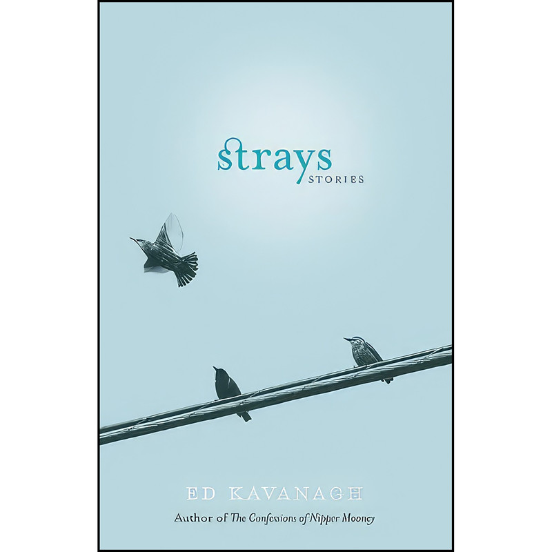 کتاب Strays اثر Ed Kavanagh انتشارات Breakwater Books Ltd.