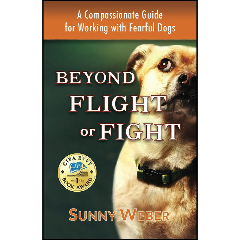 کتاب Beyond Flight or Fight اثر Sunny Weber انتشارات بله