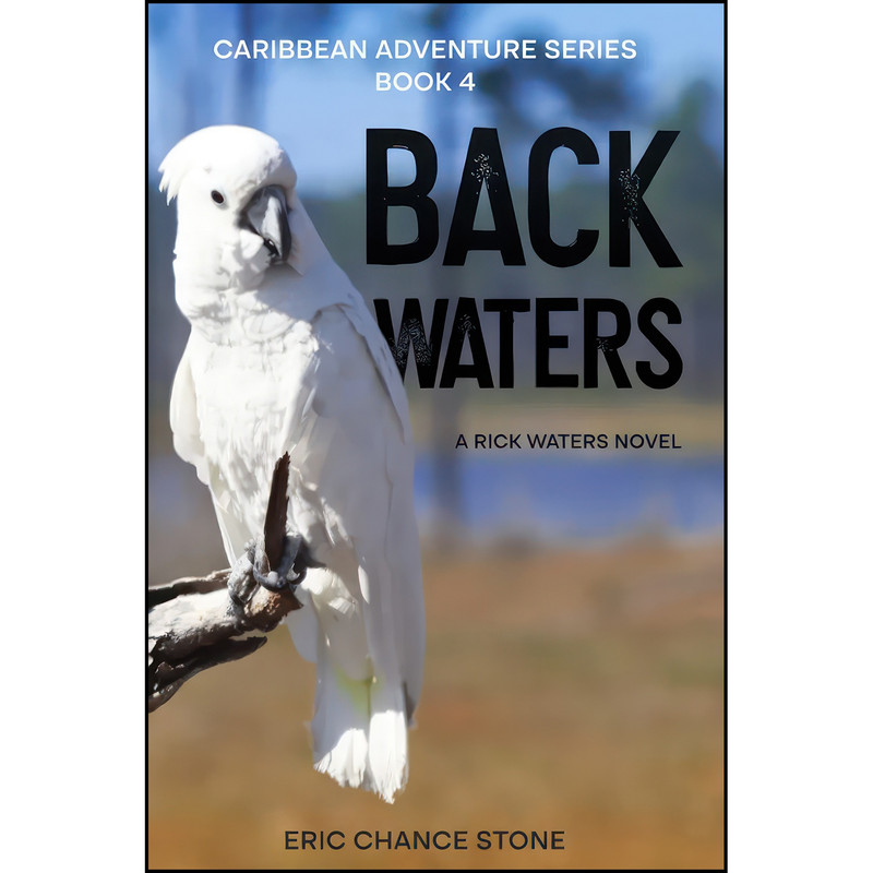 کتاب Back Waters اثر Eric Chance Stone انتشارات تازه ها