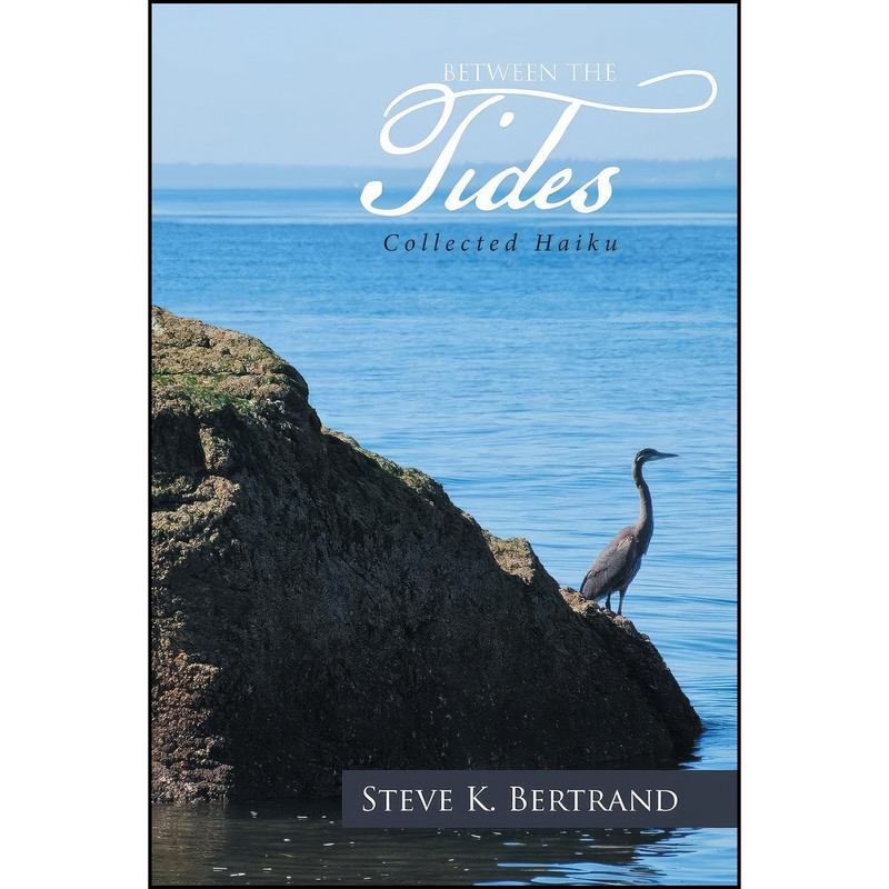 کتاب Between the Tides اثر Steve K. Bertrand انتشارات XLIBRIS